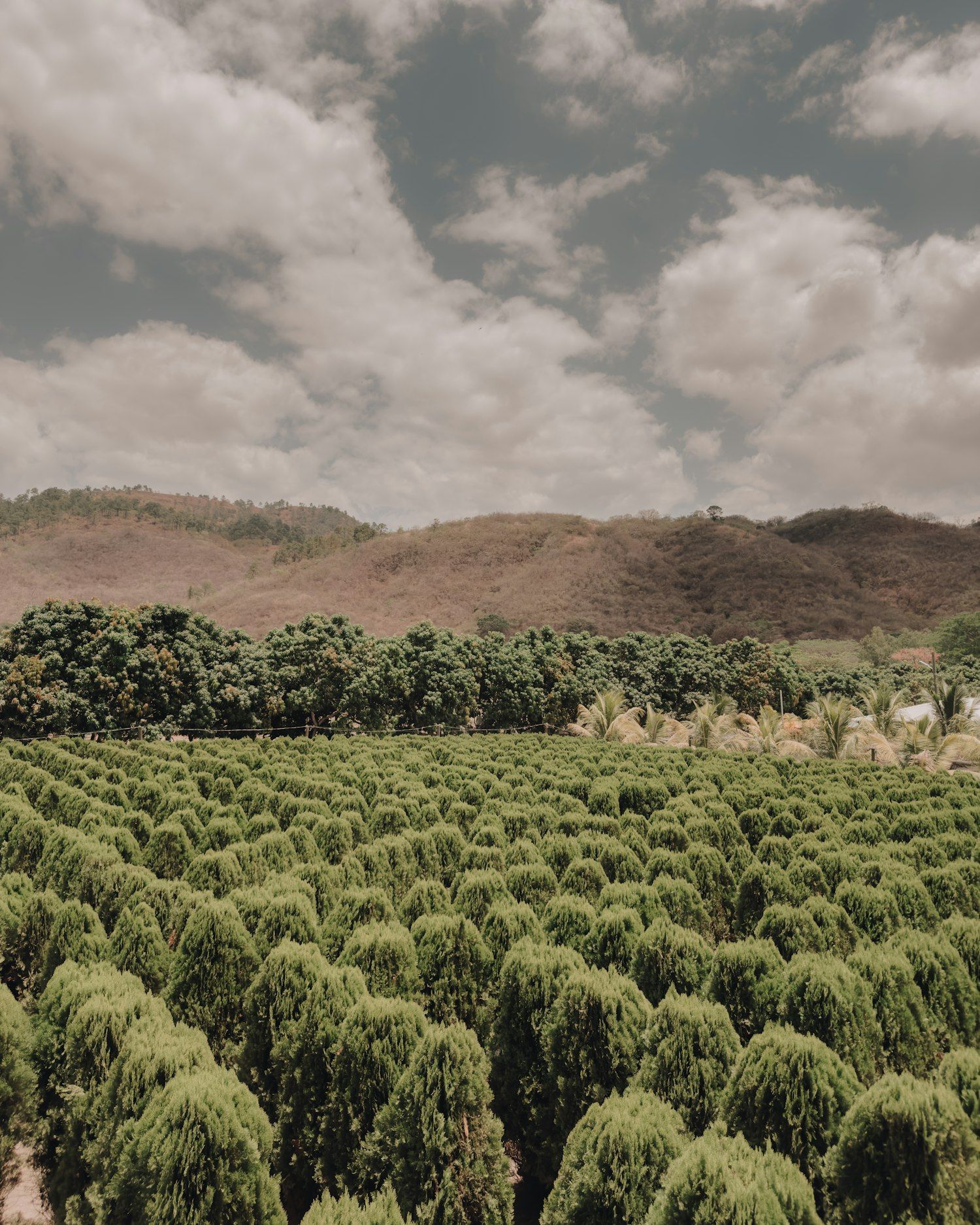 Naturaleza y montañas de Honduras